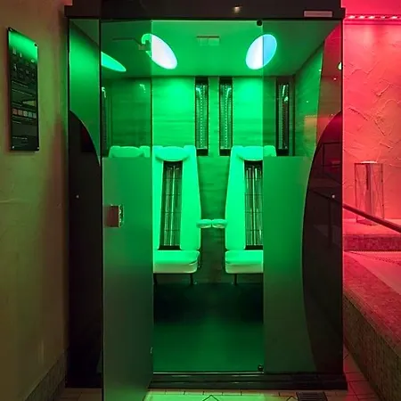 מלון Schweizer Hof Thermal Und Vital (adults Only) באד פיסינג