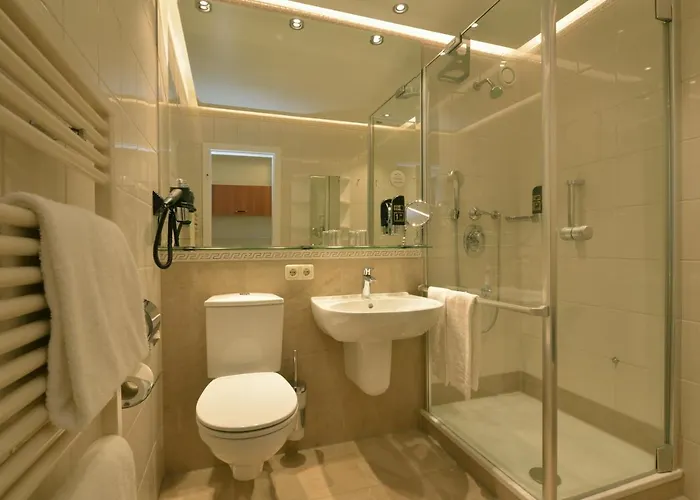 Schweizer Hof Thermal Und Vital 4*